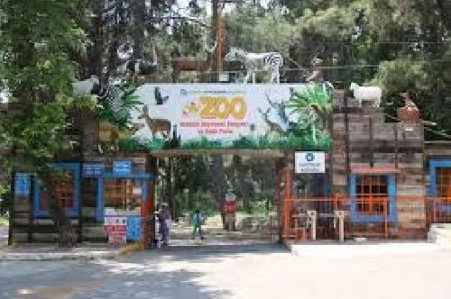 29. Antalya Zoo
