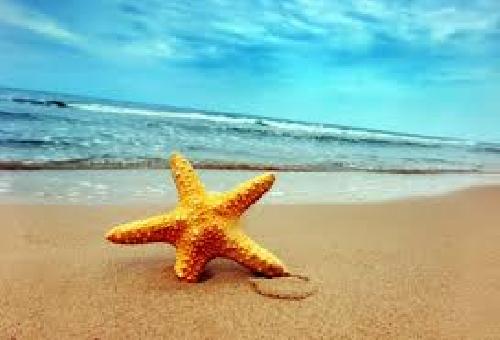 antalya airport kizilot car rental