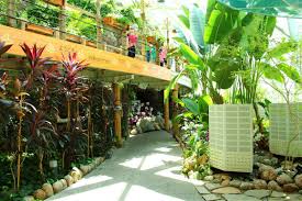 Konya Tropical Butterfly Garden